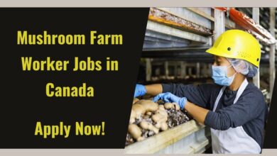 Mushroom Farm Worker Jobs in Canada