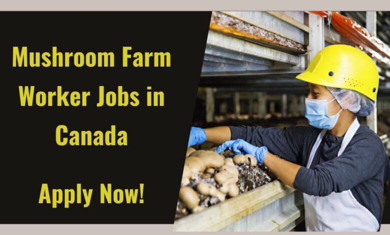 Mushroom Farm Worker Jobs in Canada