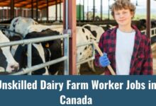 Unskilled Dairy Farm Worker Jobs in Canada