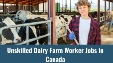 Unskilled Dairy Farm Worker Jobs in Canada