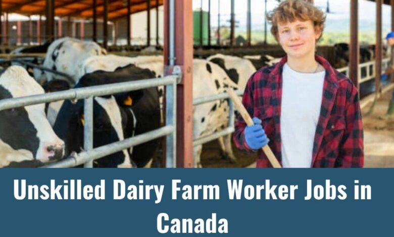 Unskilled Dairy Farm Worker Jobs in Canada
