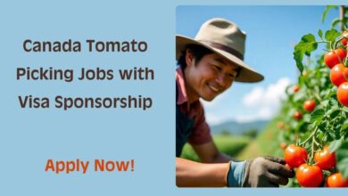 Canada Tomato Picking Jobs with Visa Sponsorship