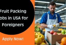 Fruit Packing Jobs in USA for Foreigners