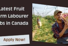 Latest Fruit Farm Labourer Jobs in Canada