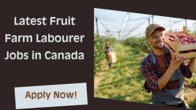 Latest Fruit Farm Labourer Jobs in Canada