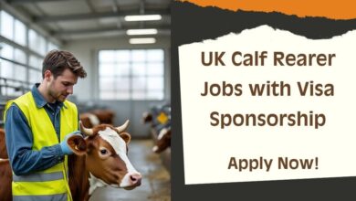 UK Calf Rearer Jobs with Visa Sponsorship
