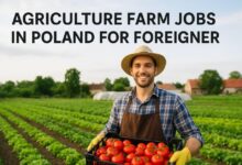 Agriculture Farm Jobs in Poland For Foreigner