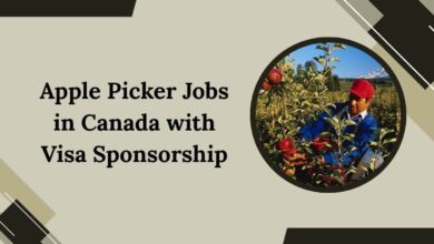 Apple Picker Jobs in Canada with Visa Sponsorship