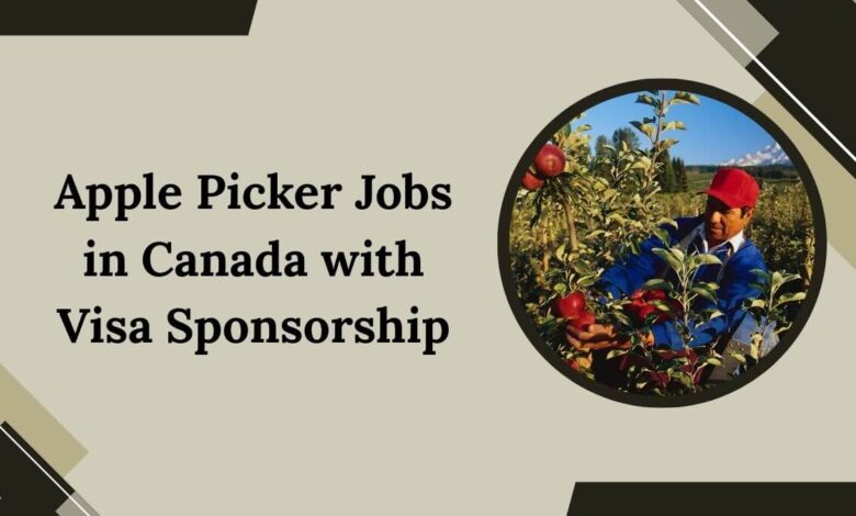 Apple Picker Jobs in Canada with Visa Sponsorship