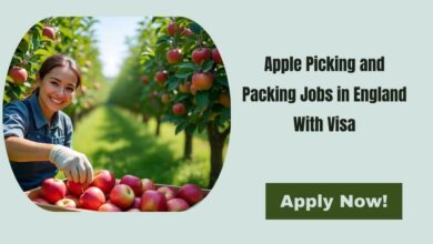 Apple Picking and Packing Jobs in England With Visa