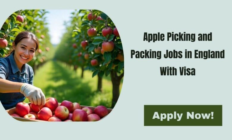 Apple Picking and Packing Jobs in England With Visa