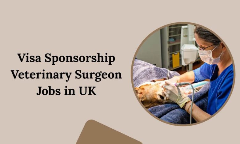 Visa Sponsorship Veterinary Surgeon Jobs in UK