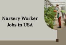 Nursery Worker Jobs in USA