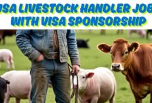USA Livestock Handler Jobs with Visa Sponsorship