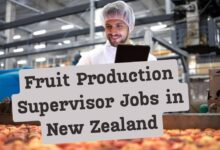 Fruit Production Supervisor Jobs in New Zealand